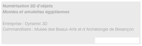 Numérisation 3D d’objets
Momies et amulettes égyptiennes

Entreprise : Dynamic 3D
Commanditaire : Musée des Beaux-Arts et d’Archéologie de Besançon

http://www.dyn3d.com/